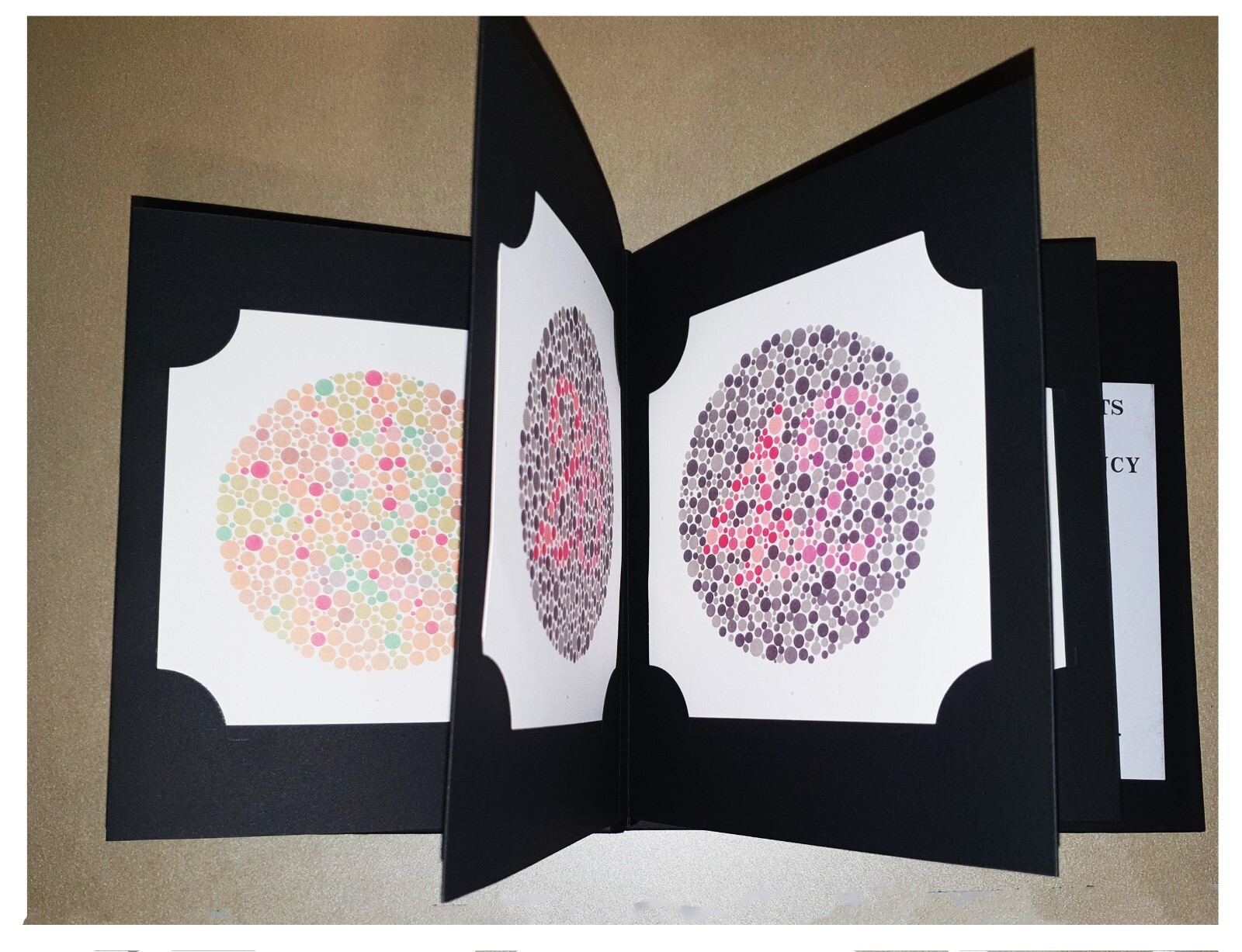 2025 Ishihara Colour Vision Test Book for Color Deficiency 38 Plates