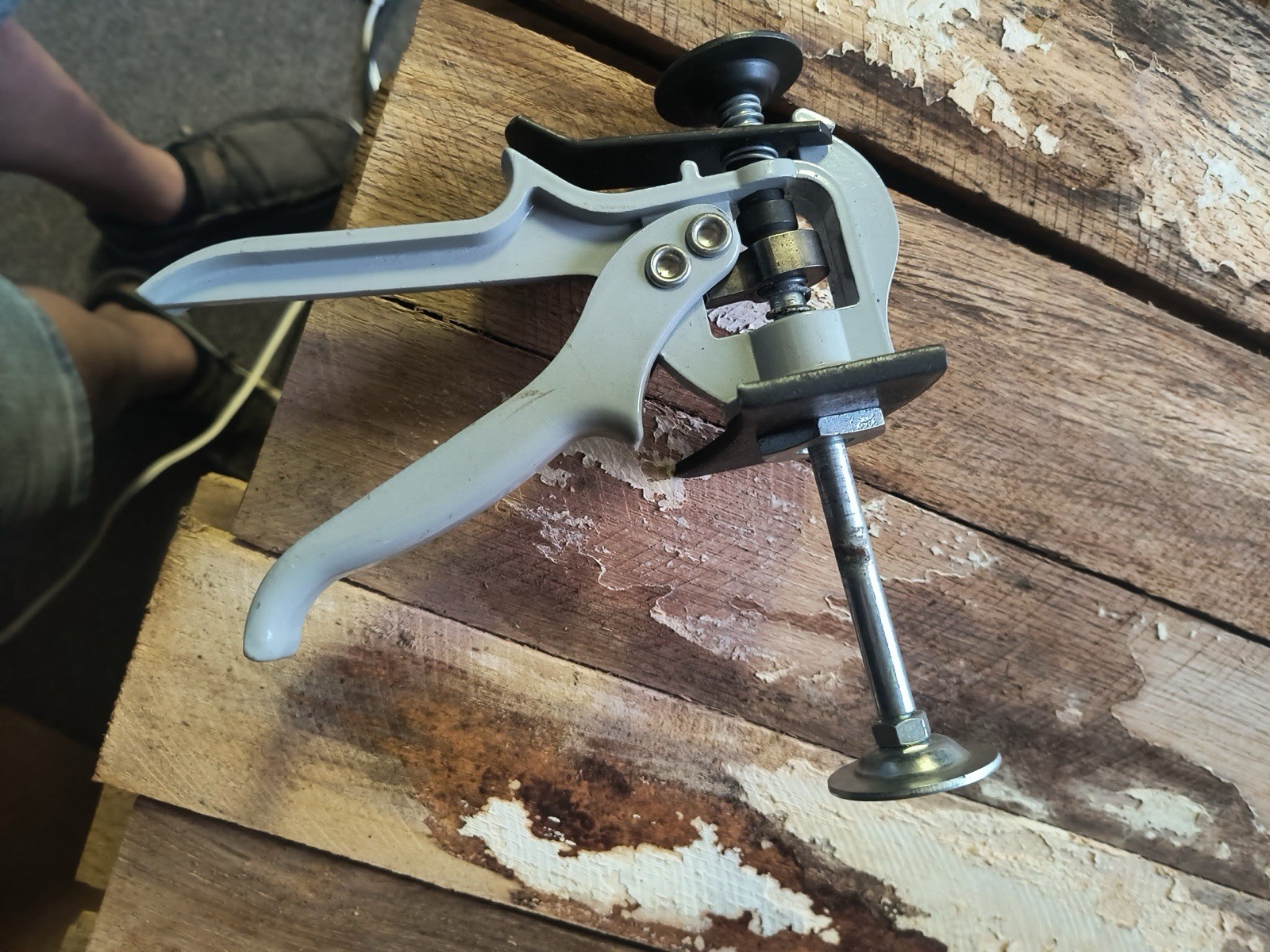 Disk brake caliper tool
